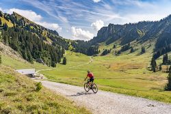 Fahrradfahrer