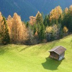 Alm im Herbst-Zillertal