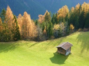 Alm im Herbst-Zillertal