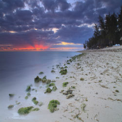 Mauritius-Strand