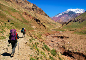 Auf einer Peru Reise lässt sich die Natur bestaunen