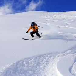 Tiefschnee Skifahrer