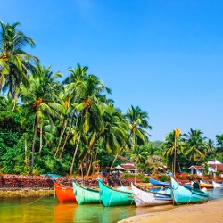 bright boats on the river bank  in tropic with palms and blue sky. Goa, India