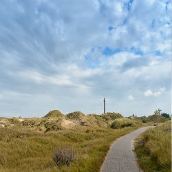 Die Dünenlandschaft Norderneys mit Leuchtturm im Hintergrund