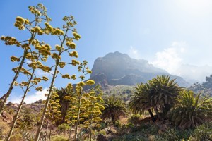Teneriffa