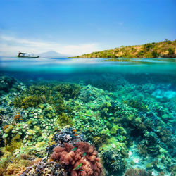 Insel Java Indonesien