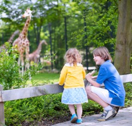 zoobesuch